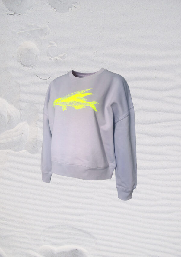 Pulli friedfisch 1
