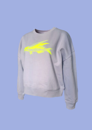 Pulli Friedfisch B