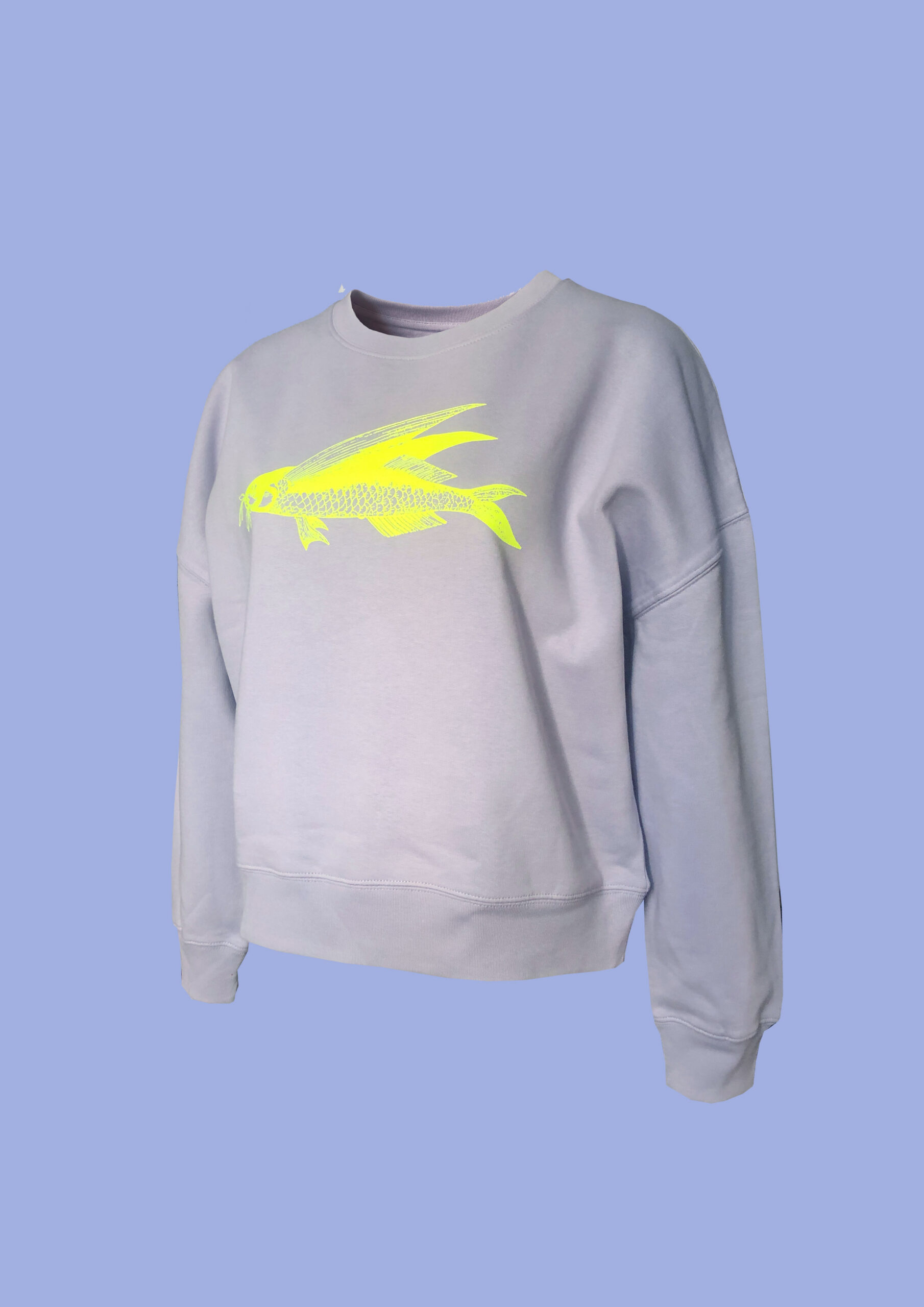 Pulli Friedfisch B