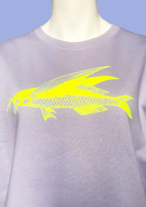 Pulli Friedfisch C