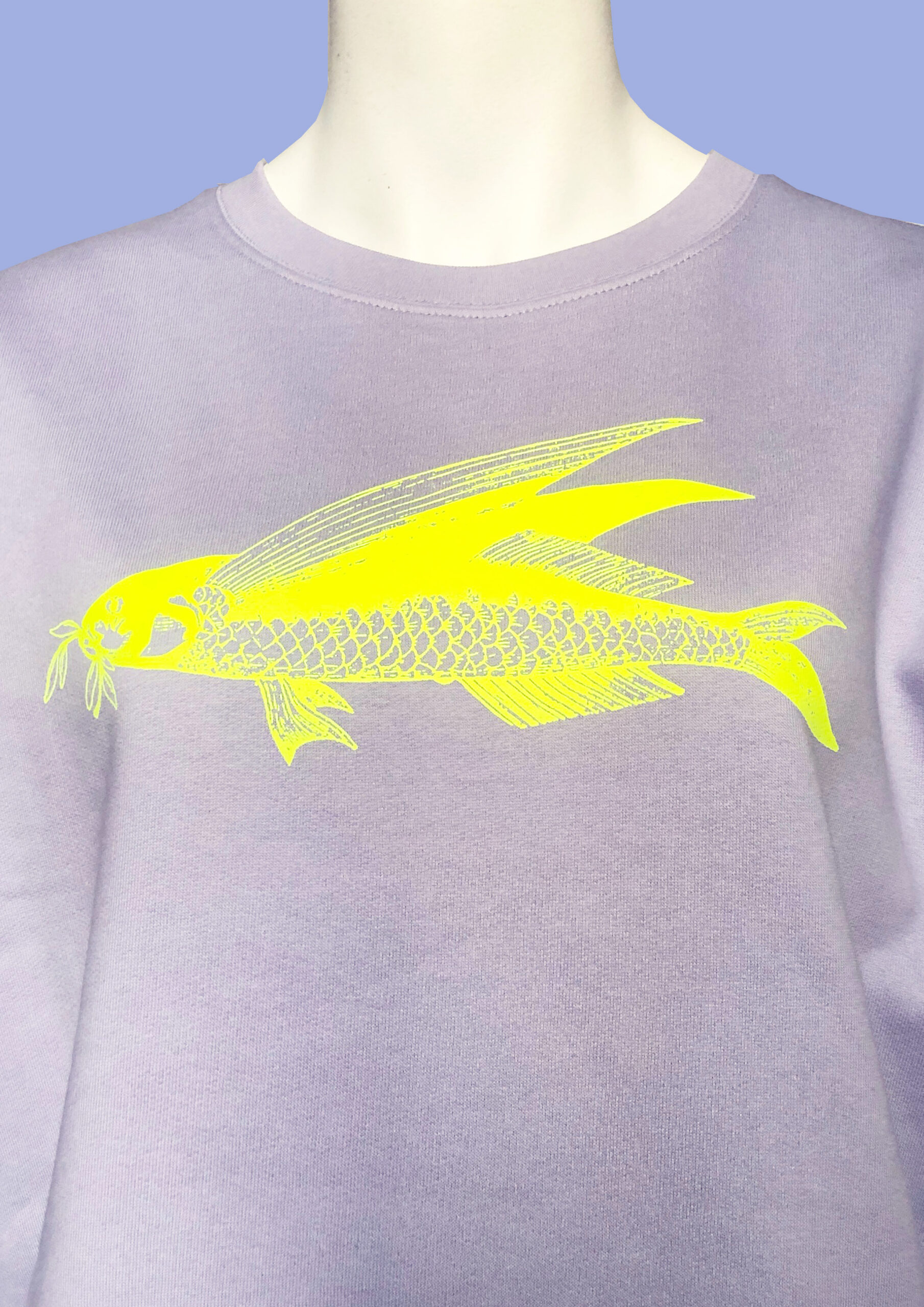 Pulli Friedfisch C