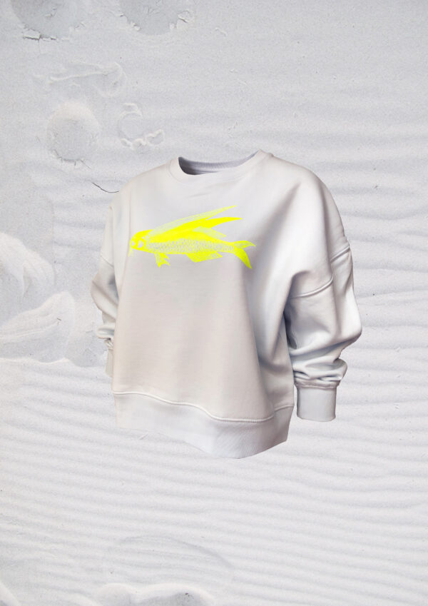 Pulli friedfisch hellblau 1