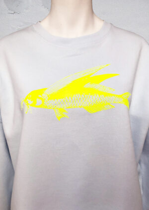 Pulli friedfisch hellblau 2