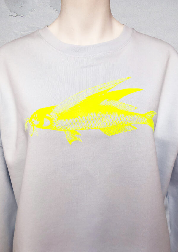 Pulli friedfisch hellblau 2