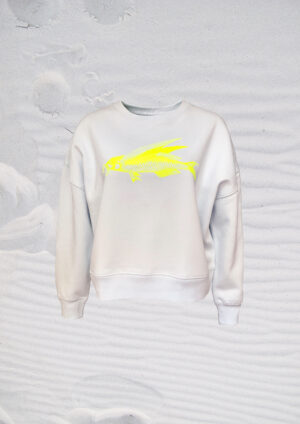 Pulli friedfisch hellblau