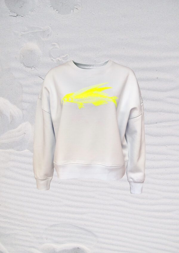 Pulli friedfisch hellblau