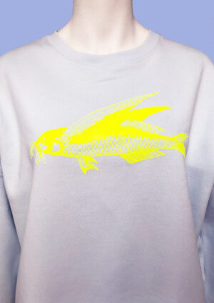 Pulli Friedfisch Hellblau B