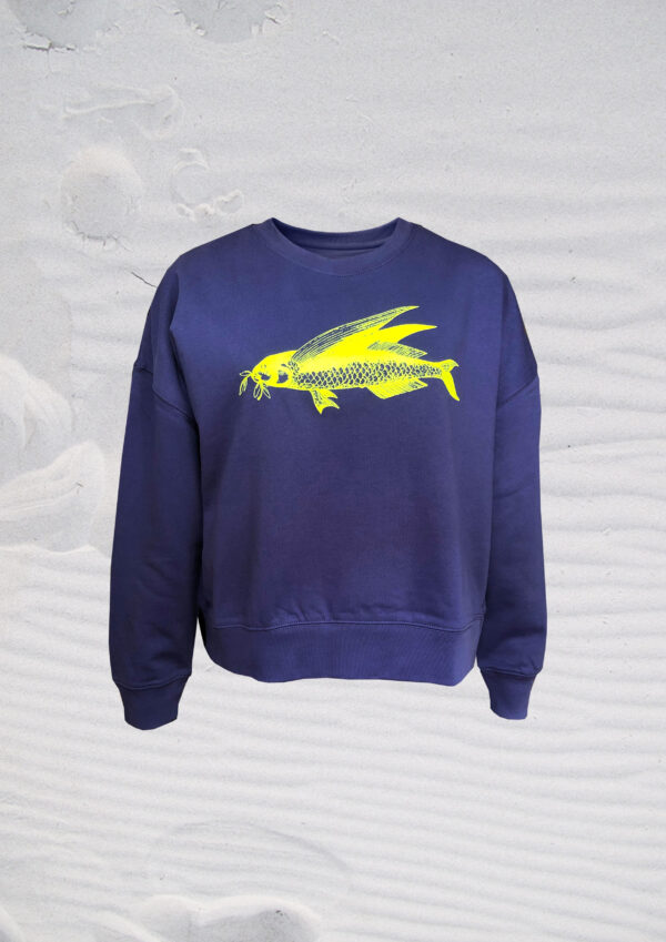 Pulli friedfisch lila