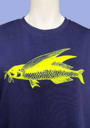 Pulli Friedfisch Lila B